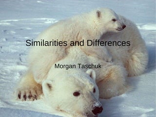 Similarities and Differences Morgan Taschuk 