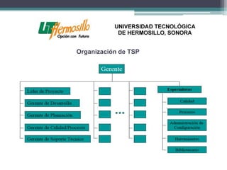 Organización de TSP
 