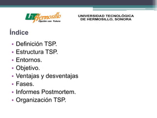 Índice
•   Definición TSP.
•   Estructura TSP.
•   Entornos.
•   Objetivo.
•   Ventajas y desventajas
•   Fases.
•   Informes Postmortem.
•   Organización TSP.
 