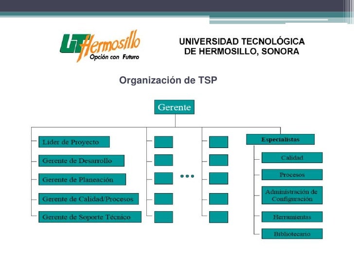 Tsp (Team Software Process )