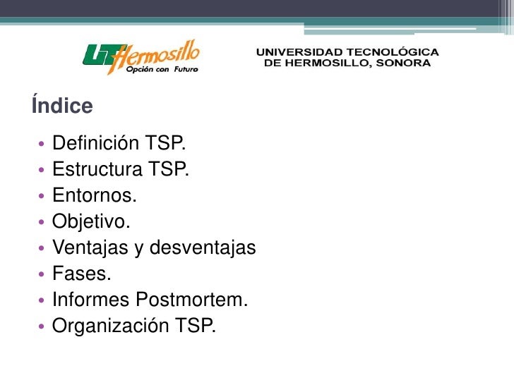 Tsp (Team Software Process )