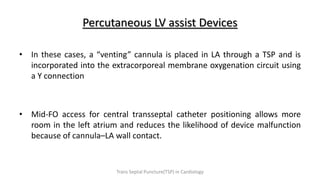 Percutaneous LV assist Devices
• In these cases, a “venting” cannula is placed in LA through a TSP and is
incorporated into the extracorporeal membrane oxygenation circuit using
a Y connection
• Mid-FO access for central transseptal catheter positioning allows more
room in the left atrium and reduces the likelihood of device malfunction
because of cannula–LA wall contact.
Trans Septal Puncture(TSP) in Cardiology
 