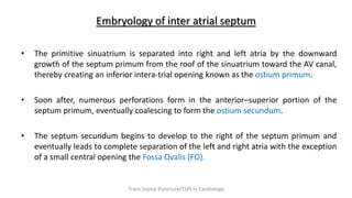 Embryology of inter atrial septum
• The primitive sinuatrium is separated into right and left atria by the downward
growth of the septum primum from the roof of the sinuatrium toward the AV canal,
thereby creating an inferior intera-trial opening known as the ostium primum.
• Soon after, numerous perforations form in the anterior–superior portion of the
septum primum, eventually coalescing to form the ostium secundum.
• The septum secundum begins to develop to the right of the septum primum and
eventually leads to complete separation of the left and right atria with the exception
of a small central opening the Fossa Ovalis (FO).
Trans Septal Puncture(TSP) in Cardiology
 