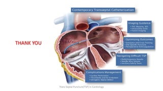 THANK YOU
Trans Septal Puncture(TSP) in Cardiology
 