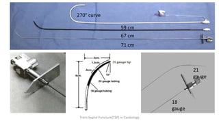 21
gauge
18
gauge
270° curve
71 cm
67 cm
59 cm
Trans Septal Puncture(TSP) in Cardiology
 