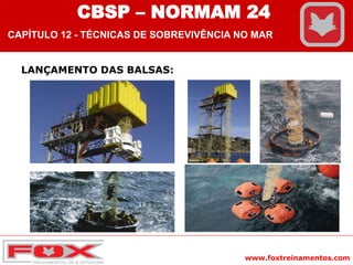 www.foxtreinamentos.com
LANÇAMENTO DAS BALSAS:
CBSP – NORMAM 24
CAPÍTULO 12 - TÉCNICAS DE SOBREVIVÊNCIA NO MAR
 
