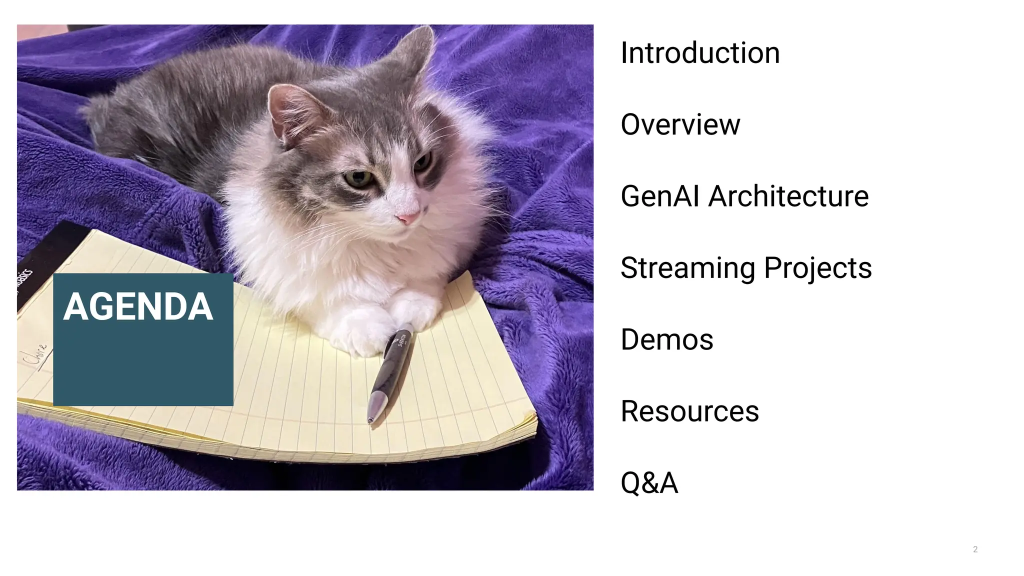 2
AGENDA
Introduction
Overview
GenAI Architecture
Streaming Projects
Demos
Resources
Q&A
 