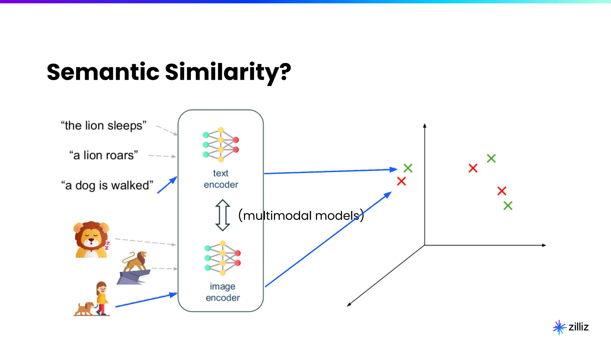 Semantic Similarity?
(multimodal models)
 