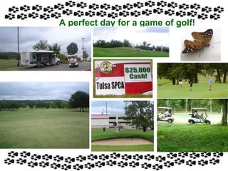 A perfect day for a game of golf! 