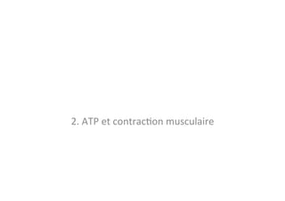 2.	
  ATP	
  et	
  contrac)on	
  musculaire	
  
 