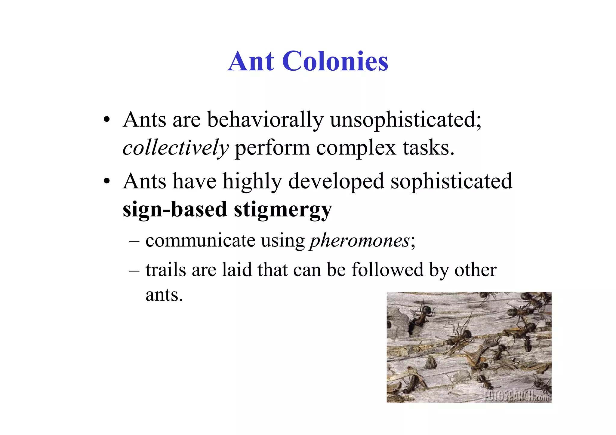 Ant Colonies
• Ants are behaviorally unsophisticated;
  collectively perform complex tasks.
• Ants have highly developed sophisticated
  sign-based stigmergy
  – communicate using pheromones;
  – trails are laid that can be followed by other
    ants.
 