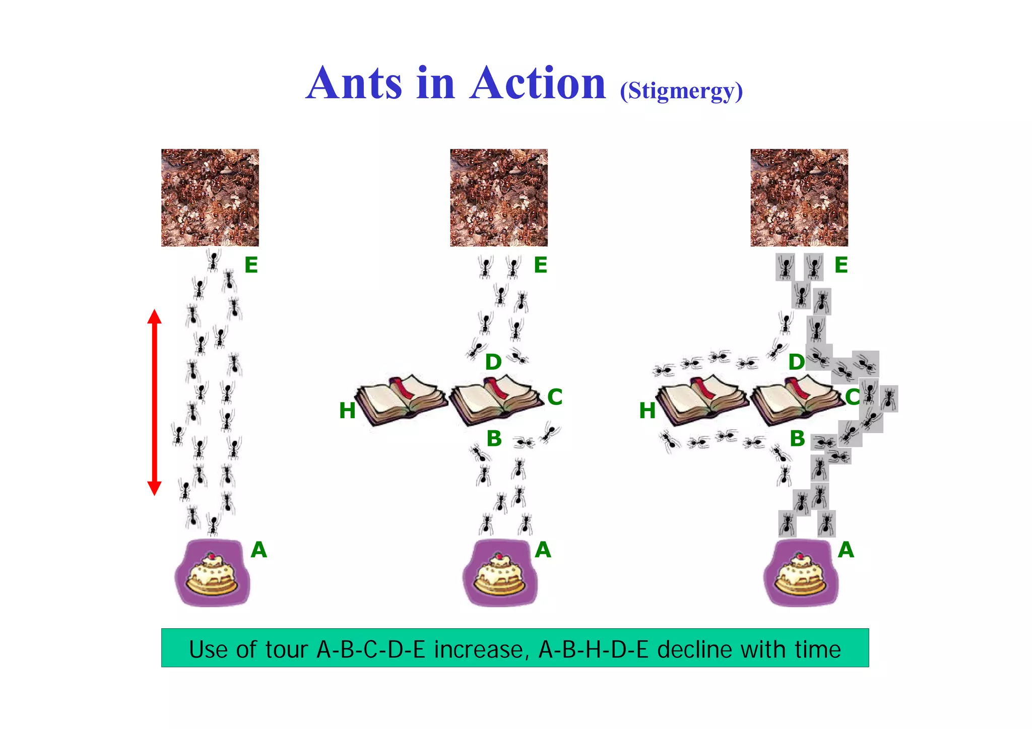Ants in Action (Stigmergy)


    E                          E                          E



                          D                           D
                                C                             C
             H                          H
                          B                           B




     A                         A                          A



Use of tour A-B-C-D-E increase, A-B-H-D-E decline with time
 