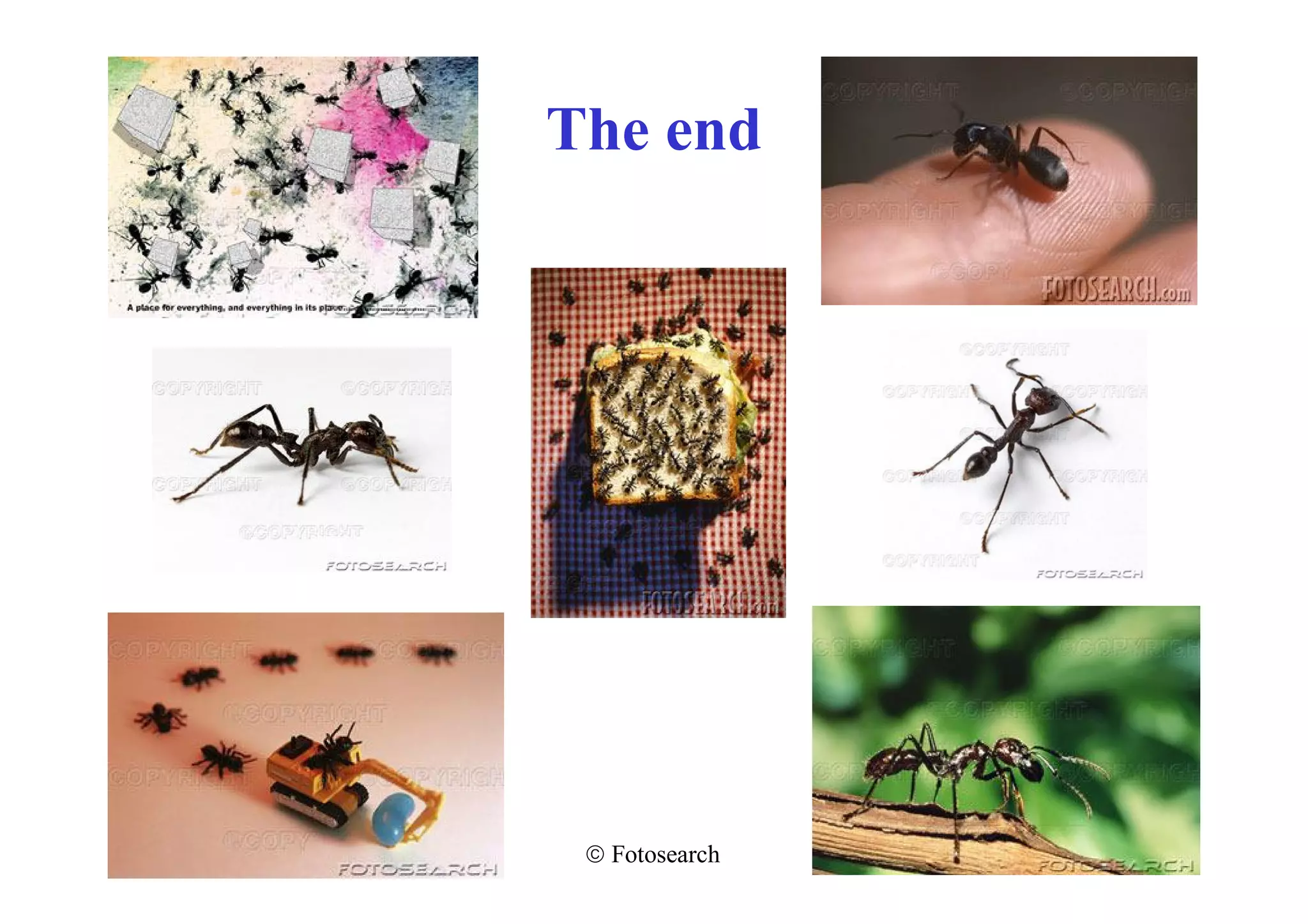 The end




  Fotosearch
 