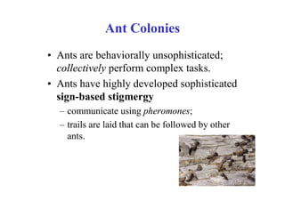 Ant Colonies
• Ants are behaviorally unsophisticated;
  collectively perform complex tasks.
• Ants have highly developed sophisticated
  sign-based stigmergy
  – communicate using pheromones;
  – trails are laid that can be followed by other
    ants.
 