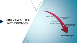 BIRD VIEW OF THE
METHODOLOGY
SELECTING OF BACTERIAL
SPECIES
CULTURING OF THE BACTERIA
ENCAPSULATION
CASTING OF CONCRETE
SPECIMENS
CRACKING AND
ANALYSIS OF HEALING
STRENGTH, PROPERTIES
AND BEHAVIOR STUDY
CONCLUSION AND INFERENCE
16
 