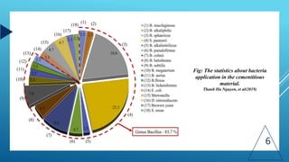 6
Fig: The statistics about bacteria
application in the cementitious
material.
Thanh Ha Nguyen, et al(2019)
 