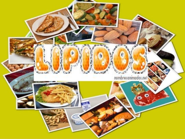 lipidos alimentos lipidos saponificables lipidos alimentos lipidos saponificables