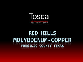 mining corporation TSQ.V         FSE: TQ4     TSMNF. US Tosca RED HILLSMolybdenum-Copperpresidio county Texas  