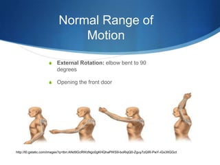 Normal Range of
                            Motion

                  S    External Rotation: elbow bent to 90
                       degrees

                  S    Opening the front door

                  S    Normal range of Motion is 70 to 90 degrees




http://t0.gstatic.com/images?q=tbn:ANd9GcRWzNgo0gKHQhaPWS9-boRsjQ0-Zguy7zQIR-PwY-iGx3ItGGct
 