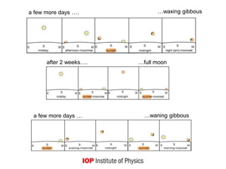 a few more days …. …waxing gibbous
after 2 weeks…. …full moon
a few more days … …waning gibbous
 