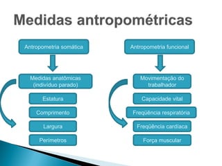 Antropometria somática Antropometria funcional
Estatura
Comprimento
Largura
Perímetros
Capacidade vital
Movimentação do
trabalhador
Medidas anatômicas
(indivíduo parado)
Freqüência respiratória
Freqüência cardíaca
Força muscular
 