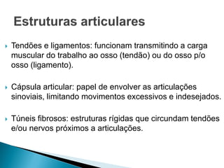  Tendões e ligamentos: funcionam transmitindo a carga
muscular do trabalho ao osso (tendão) ou do osso p/o
osso (ligamento).
 Cápsula articular: papel de envolver as articulações
sinoviais, limitando movimentos excessivos e indesejados.
 Túneis fibrosos: estruturas rígidas que circundam tendões
e/ou nervos próximos a articulações.
 