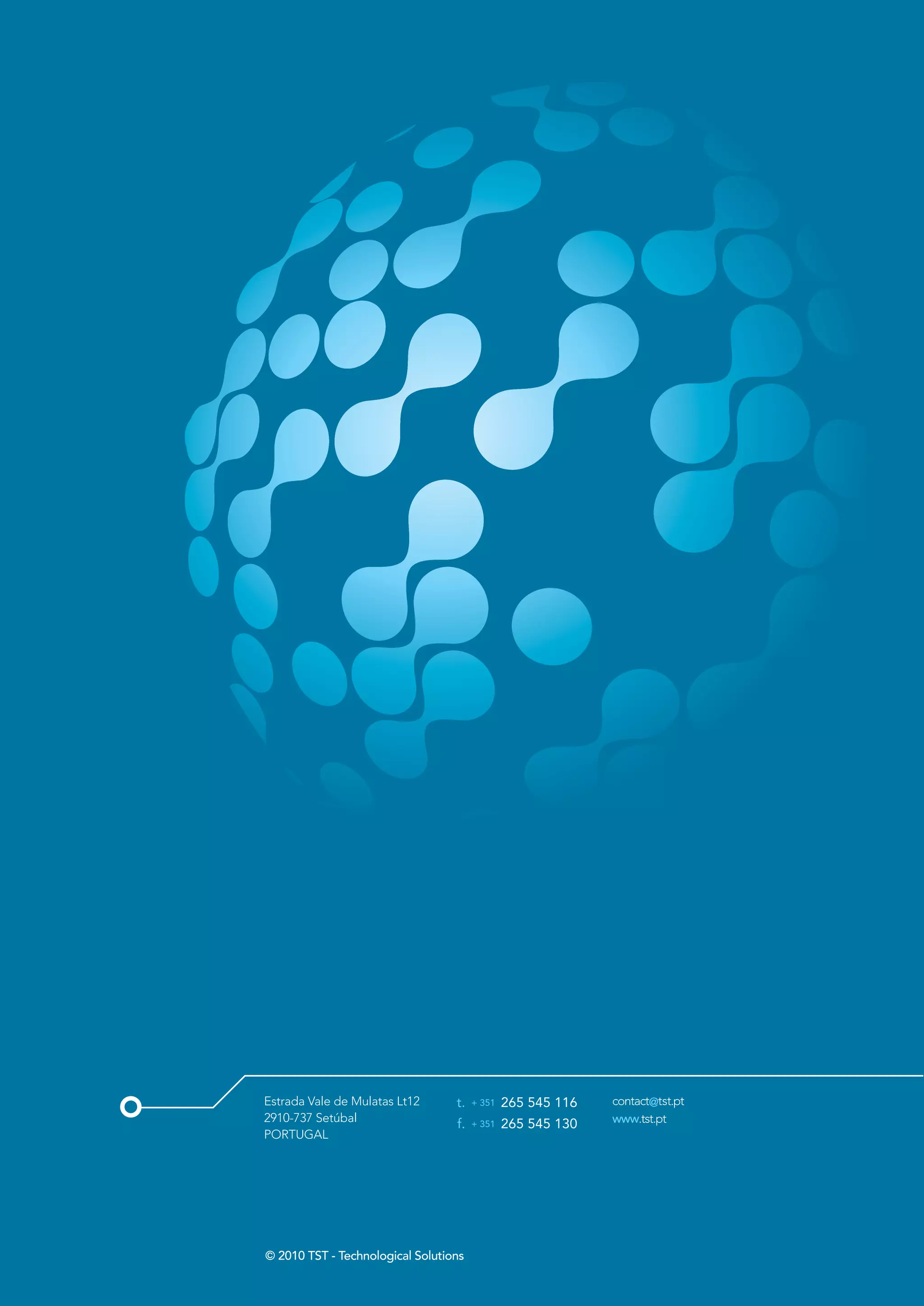 © 2010 TST - Technological Solutions
 