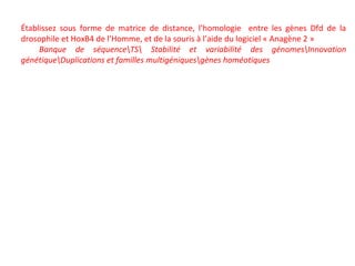 Établissez sous forme de matrice de distance, l’homologie entre les gènes Dfd de la
drosophile et HoxB4 de l’Homme, et de la souris à l’aide du logiciel « Anagène 2 »
Banque de séquenceTS Stabilité et variabilité des génomesInnovation
génétiqueDuplications et familles multigéniquesgènes homéotiques
 