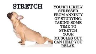 YOU’RE LIKELY
STRESSED
FROM ANXIETY
OF STUDYING.
TAKING SOME
TIME TO
STRETCH
YOUR
MUSCLES OUT
CAN HELP YOU
RELAX.
 