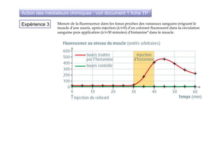 Expérience 3 Mesure  de  la  ﬂuorescence  dans  les  tissus  proches  des  vaisseaux  sanguins  irriguant  le  
muscle  d'ʹune  souris,  après  injection  (à  t=0)  d'ʹun  colorant  ﬂuorescent  dans  la  circulation  
sanguine  puis  application  (à  t=30  minutes)  d'ʹhistamine*  dans  le  muscle.	
Action des médiateurs chimiques : voir document 1 fiche TP
!
 