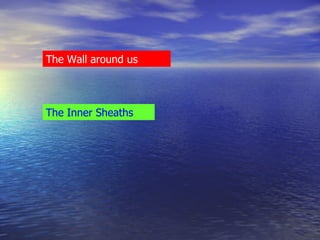 The Wall around us The Inner Sheaths 
