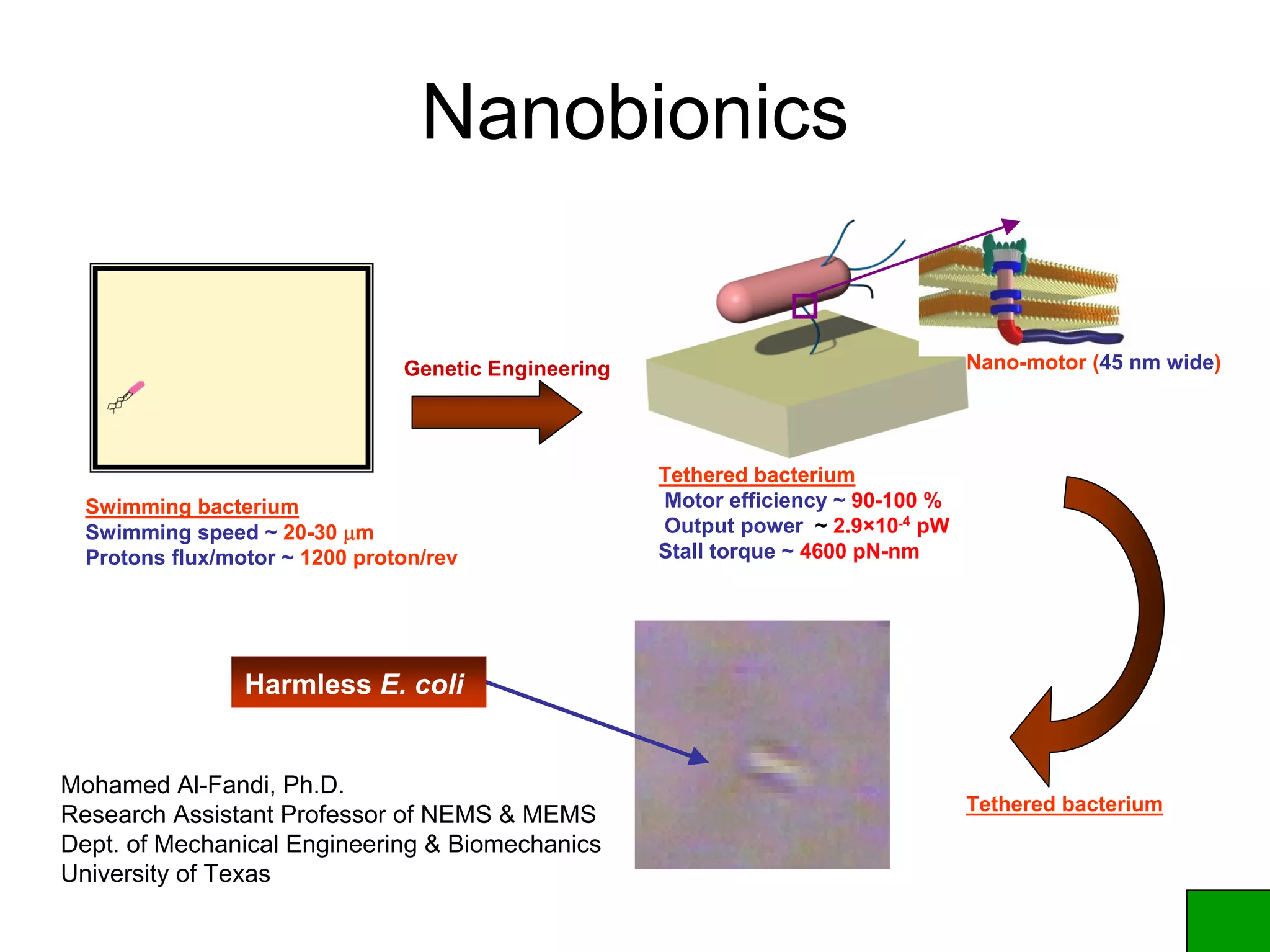 Nanobionics
Tethered bacterium
Swimming bacterium
Swimming speed ~ 20-30 μm
Protons flux/motor ~ 1200 proton/rev
Tethered bacterium
Motor efficiency ~ 90-100 %
Output power ~ 2.9×10-4
pW
Stall torque ~ 4600 pN-nm
Nano-motor (45 nm wide)Genetic Engineering
Harmless E. coli
Mohamed Al-Fandi, Ph.D.
Research Assistant Professor of NEMS & MEMS
Dept. of Mechanical Engineering & Biomechanics
University of Texas
 