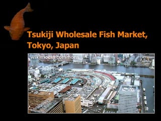 Tsukiji Wholesale Fish Market,  Tokyo, Japan 