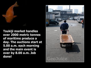 Tsukiji market handles over 2000 metric tonnes of maritime produce a day. The auctions start at 5.00 a.m. each morning and the main event is over by 8.00 a.m. Job done! 
