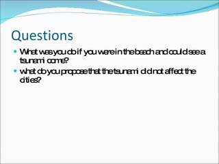 Questions What was you do  if you were in the beach and could see a tsunami come? what do you propose that the tsunami did not affect the cities? 