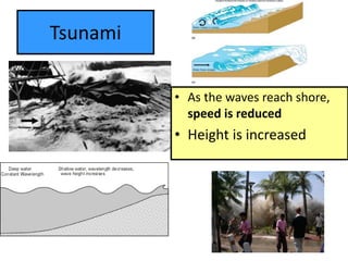 Tsunami
• As the waves reach shore,
speed is reduced
• Height is increased
 