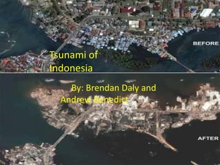 Tsunami of 2004 By: Brendan Daly and Andrew Benedict Tsunami of 				                 Indonesia          	By: Brendan Daly and 				Andrew Benedict  