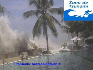 Preparado: Andrea González R.
 