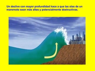 Un declive con mayor profundidad hace a que las olas de un
maremoto sean más altas y potencialmente destructivas.
 