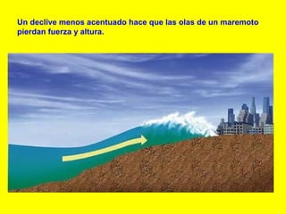 Un declive menos acentuado hace que las olas de un maremoto
pierdan fuerza y altura.
 