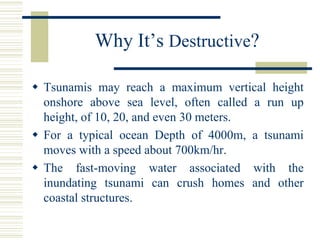 Tsunami 30 meter