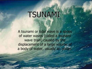 TSUNAMI TSUNAMI A tsunami or tidal wave is a series of water waves (called a tsunami wave train) caused by the displacement of a large volume of a body of water, usually an ocean. 