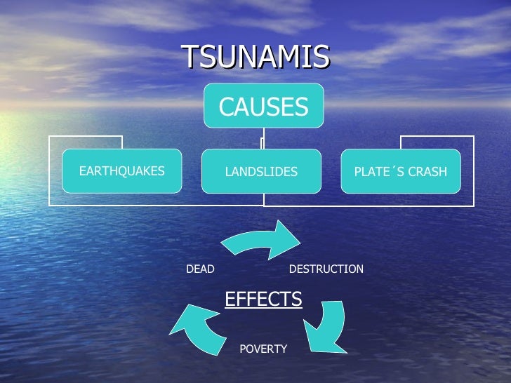 causes and effects of tsunami essay