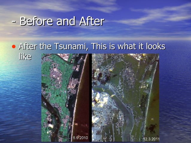 Did the japan tsunami hit hawaii