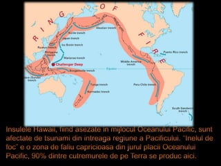 Insulele Hawaii, fiind asezate in mijlocul Oceanului Pacific, sunt afectate de tsunami din intreagaregiune a Pacificului. ...