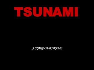 TSUNAMI A HARBOUR WAVE 