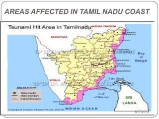 AREAS AFFECTED IN TAMIL NADU COAST
6/17/2013
 