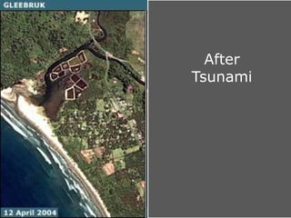 After
Tsunami
 
