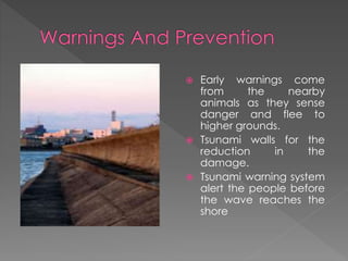  Early warnings come 
from the nearby 
animals as they sense 
danger and flee to 
higher grounds. 
 Tsunami walls for the 
reduction in the 
damage. 
 Tsunami warning system 
alert the people before 
the wave reaches the 
shore 
 