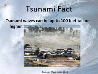 Tsunami Fact 
Tsunami waves can be up to 100 feet tall or 
higher. 
Tsunami Wave Japan 2011 
 